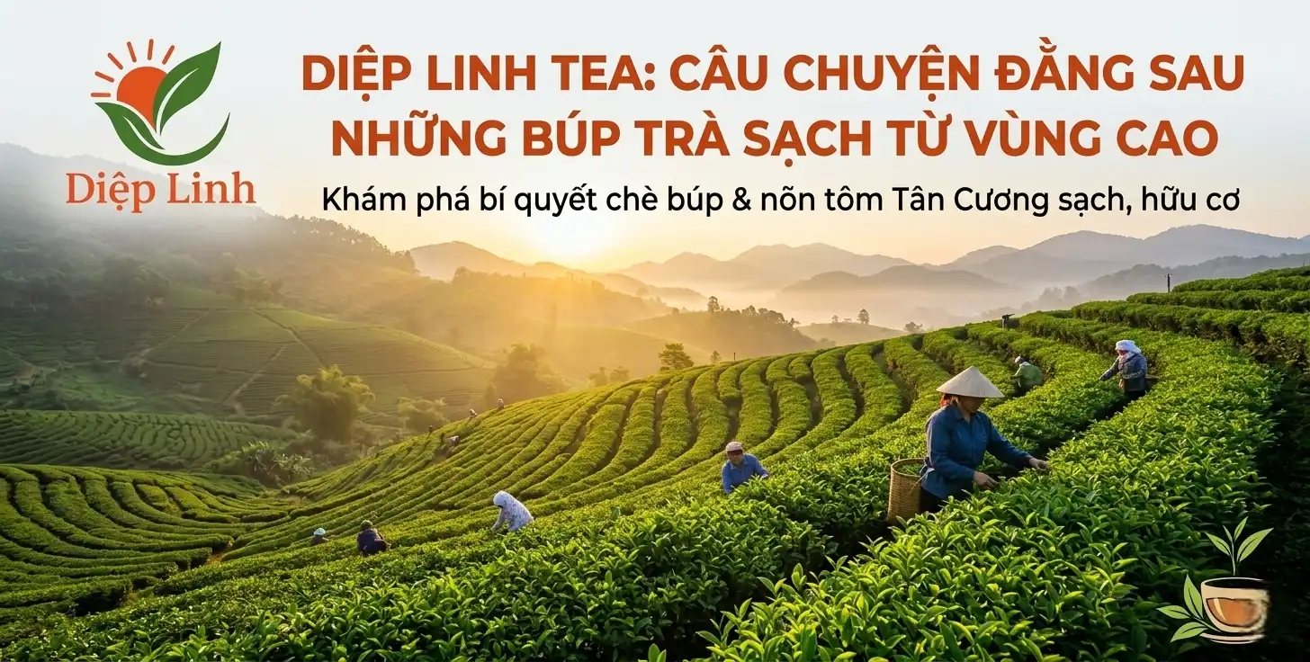 diep linh tea cau chuyen dang sau nhung bup tra sach vung cao